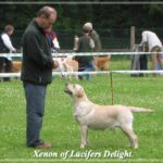 Lastrup_BOB_Xenon_Fotor